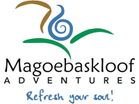 magoebaskloof canopy tours activities